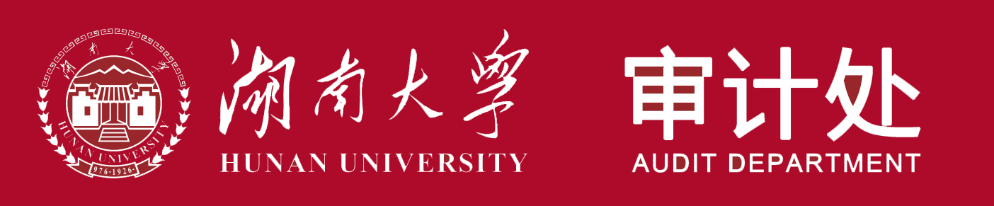 湖南大学审计处